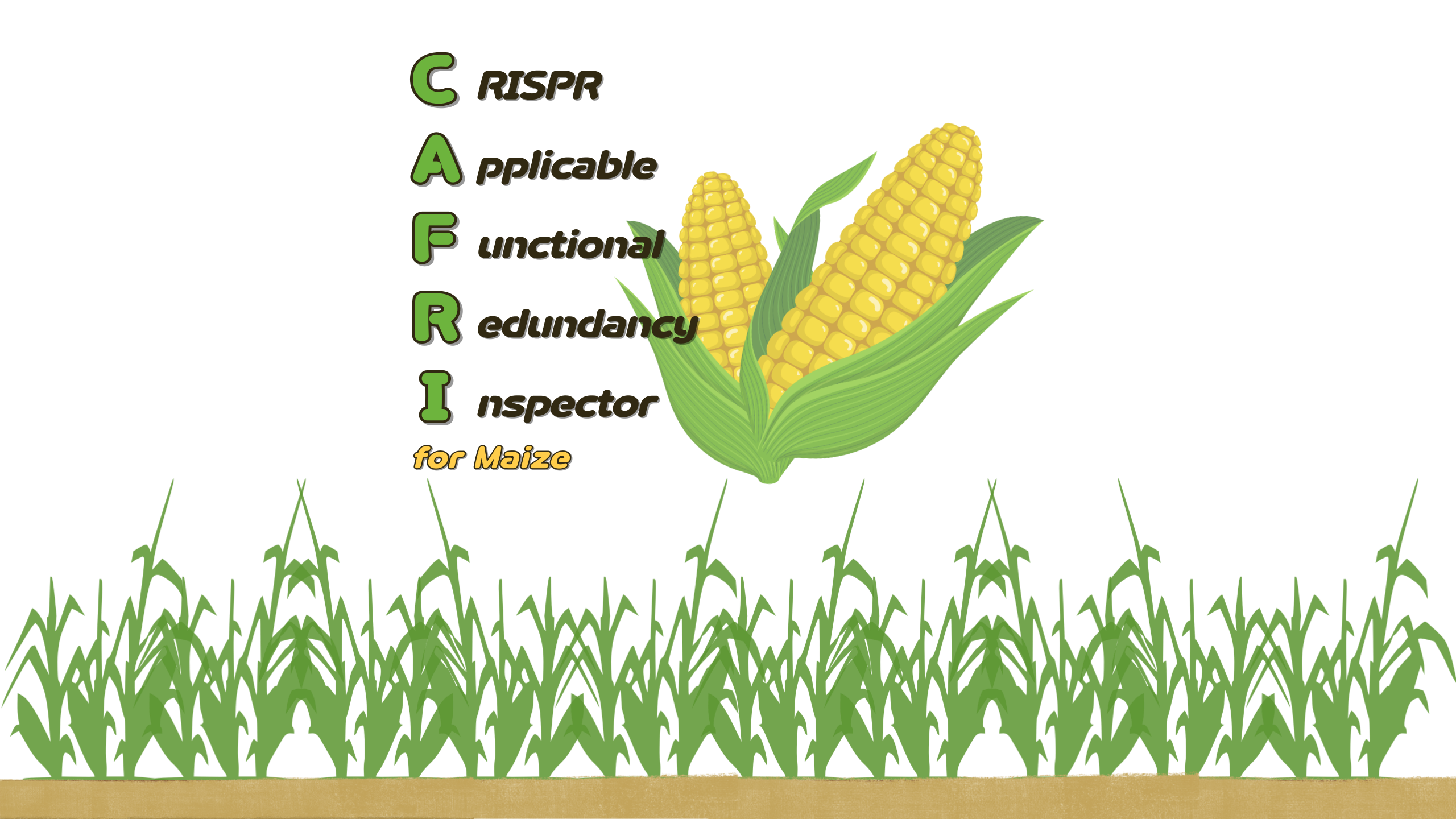 CAFRI-Maize home screen