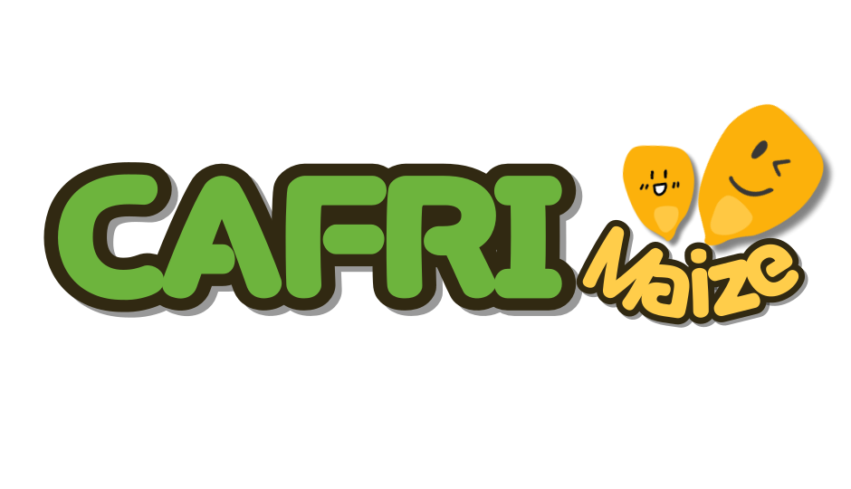 CAFRI-Maize main logo
