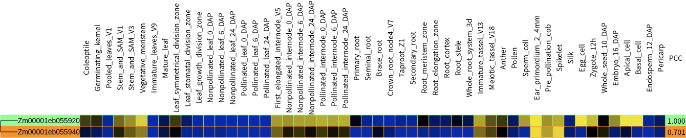 Pruned family information