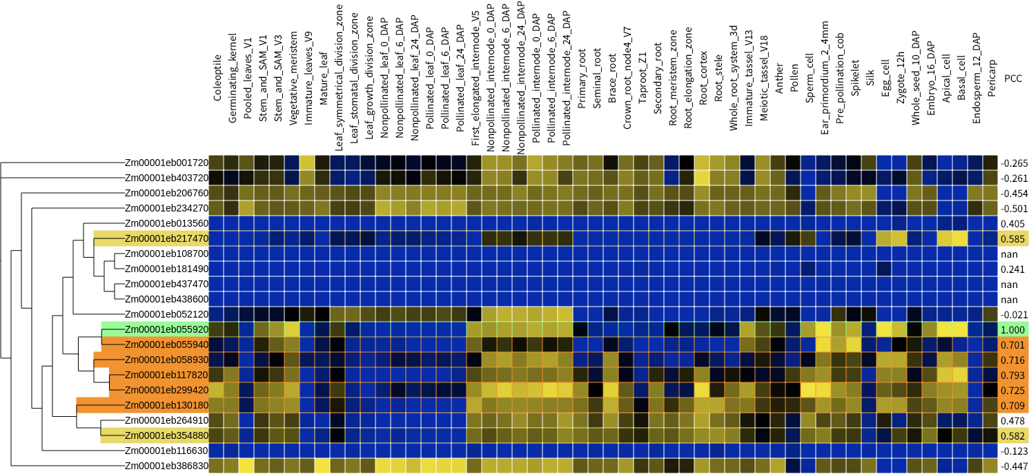 Full family information
